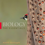 Cover image of Hoefnagels Essentials 1e