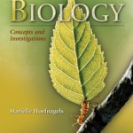 Cover image of Hoefnagels Concepts 1e